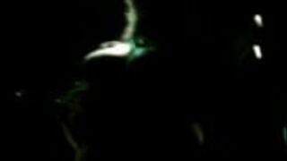 Expo sex and entertainment 2010 Monterrey 4 porn video